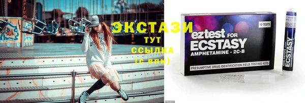 спиды Вяземский