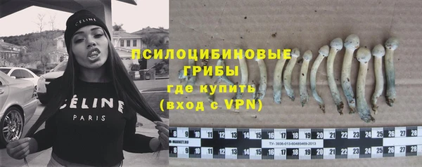 стаф Вязьма