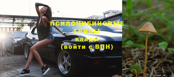 спиды Вяземский