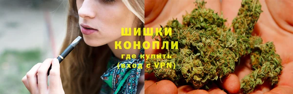 спиды Вяземский