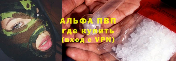 стаф Вязьма