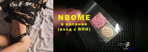 стаф Вязьма