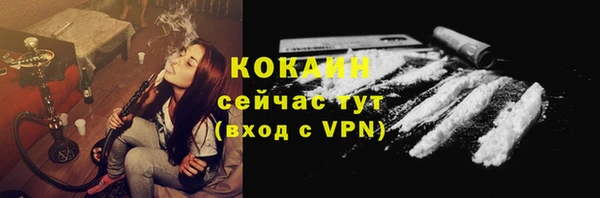 стаф Вязьма