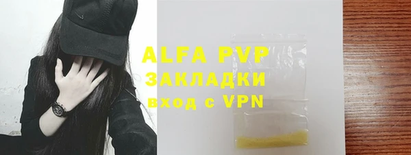 стаф Вязьма