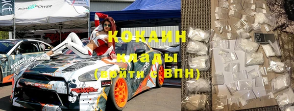 стаф Вязьма