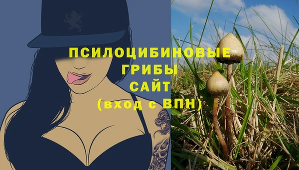 спиды Вяземский