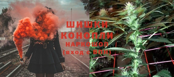 стаф Вязьма