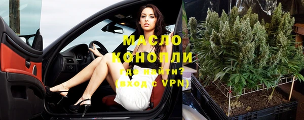 спиды Вяземский