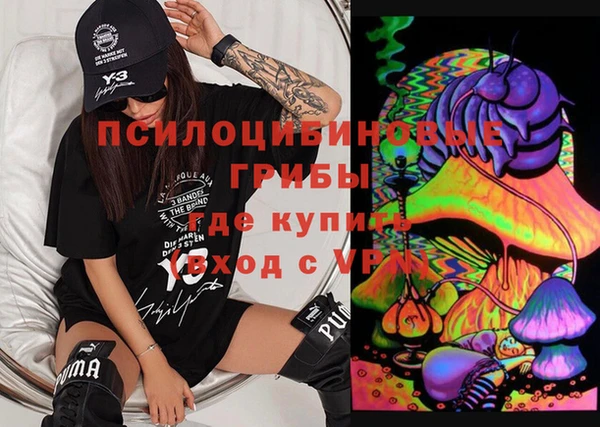 стаф Вязьма