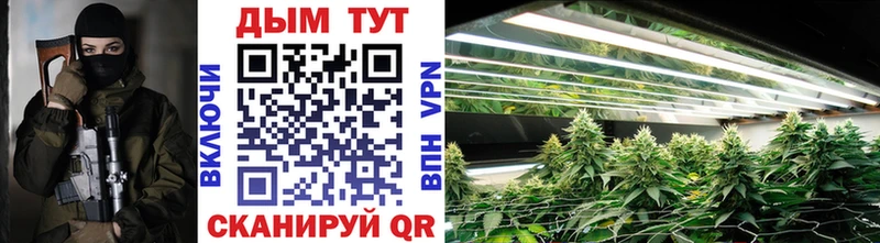 Купить где  Спасск  Каннабис Ganja 